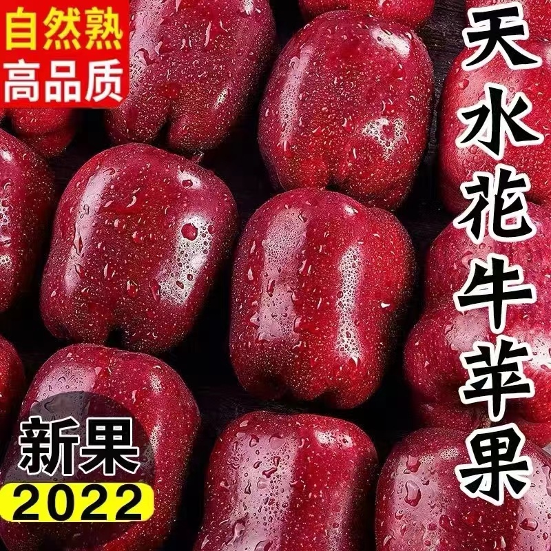 天水高山苹果花牛，一件代发，糖度高香甜，产地一手货源