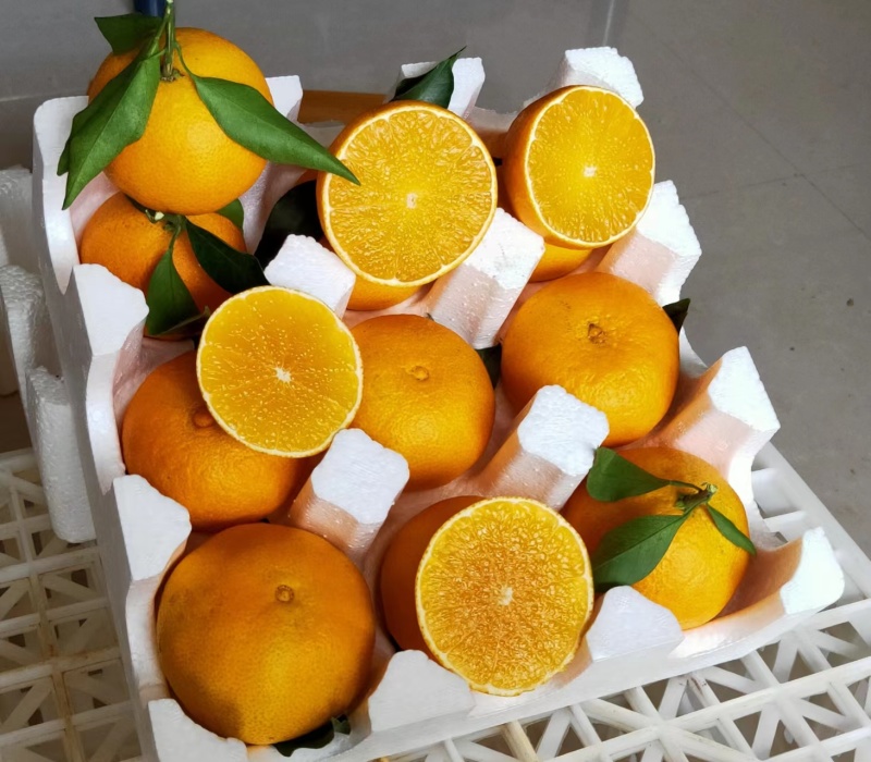 通货江西【精品】赣南脐橙十件起发货欢迎