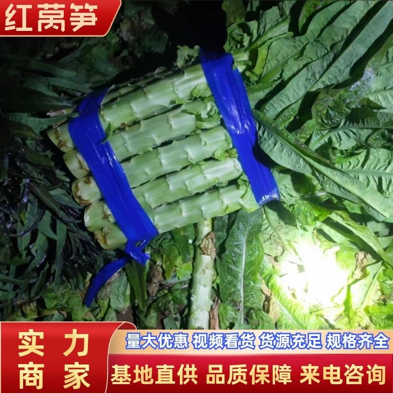 山东临沂红莴笋一手货源品质保障量大优惠来电咨询