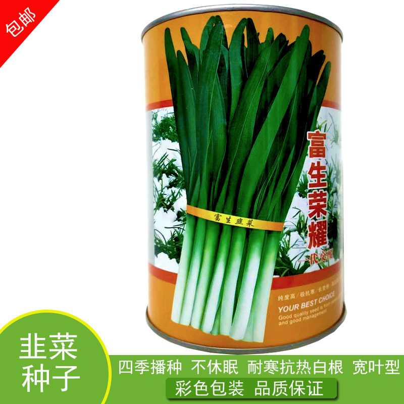富生荣耀优质韭菜种子高产抗病耐寒不休眠基地**