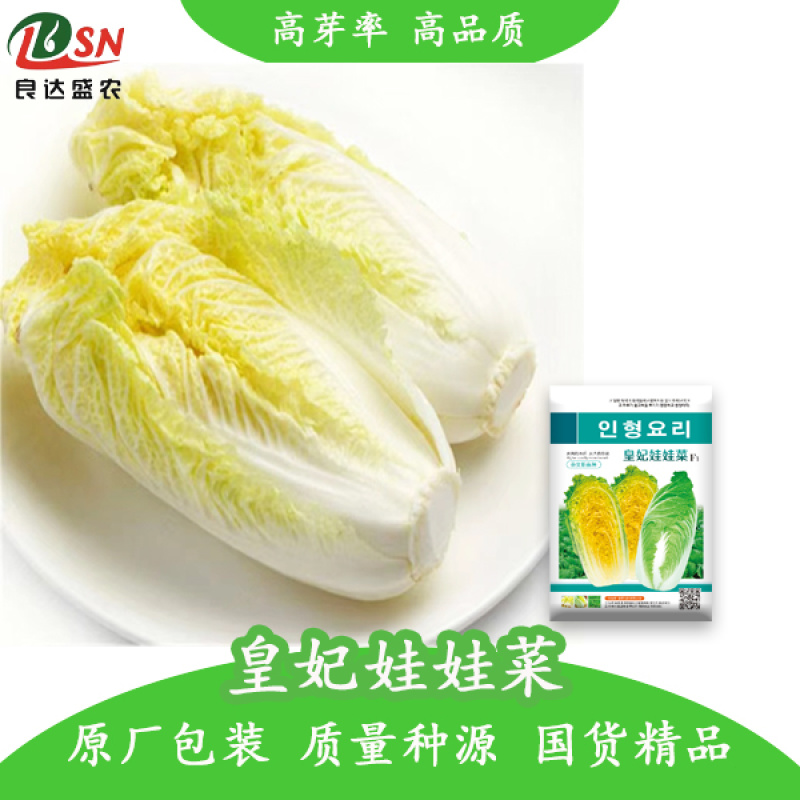 娃娃菜种子高产抗病良达盛农优质产品种植优选