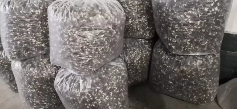 羊肚菌