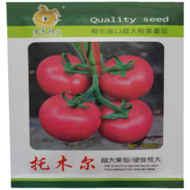 托木尔番茄种子进口耐热西红柿种子抗病毒抗高温不裂大果高产