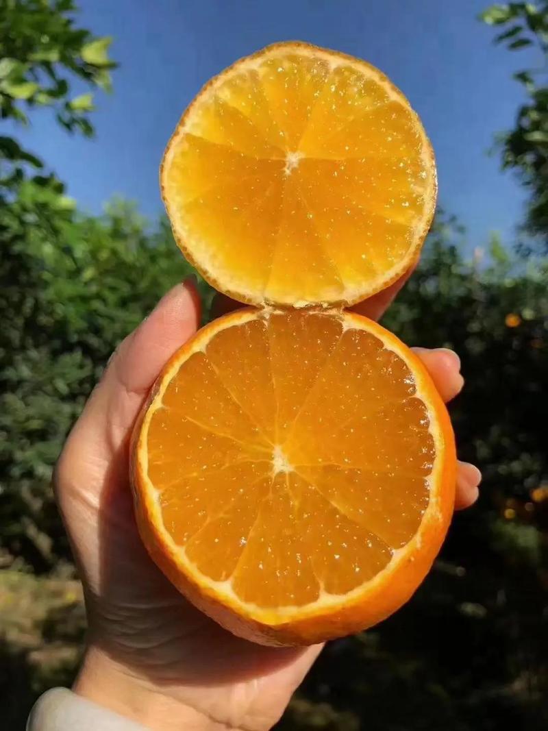 爱媛38果冻橙，社区团购，电商平台，商超，档口批一手货源