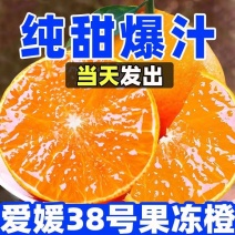 精品爱媛果冻橙基地直供一手货源品质保证诚信经营