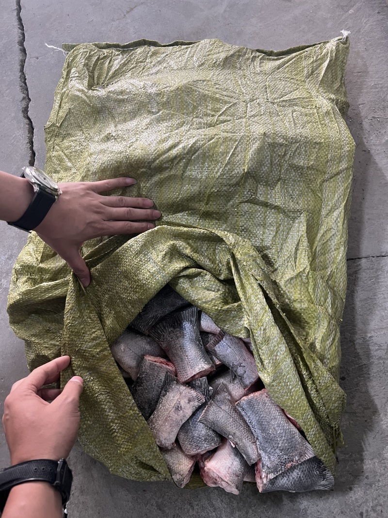 冷冻鱼尾白鲢鱼尾10KG/袋酒店餐饮商用食材/食品小零食