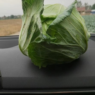 有需要的速度联系