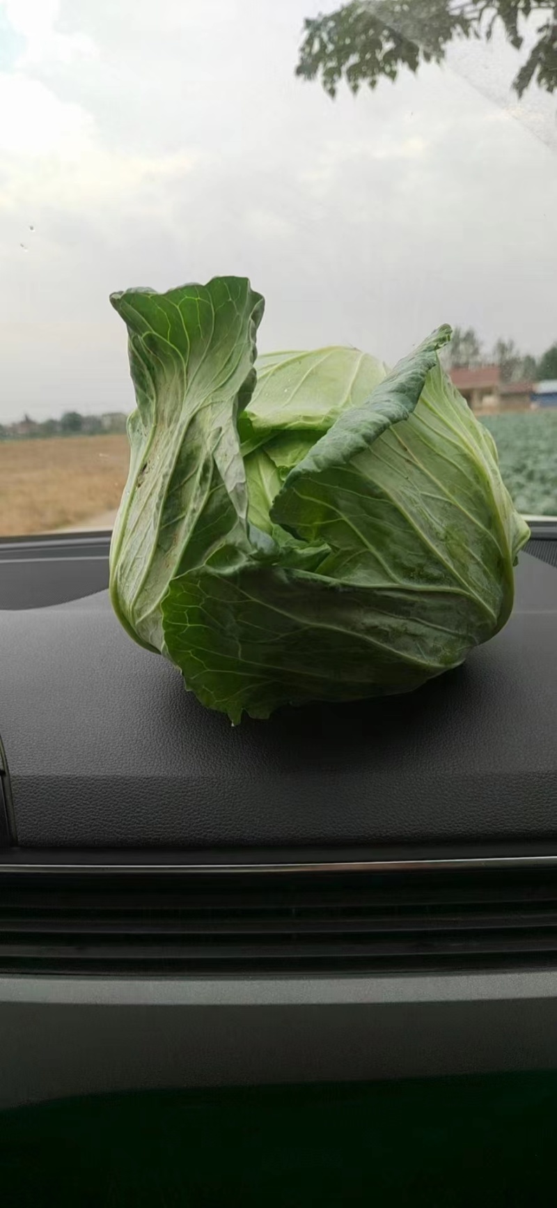 有需要的速度联系