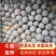 南瓜货源稳定量大从优质量保证有需要可电话咨询
