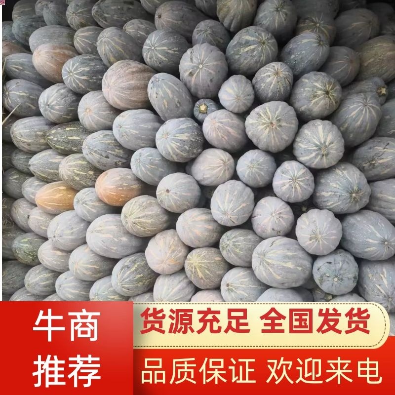 南瓜货源稳定量大从优质量保证有需要可电话咨询