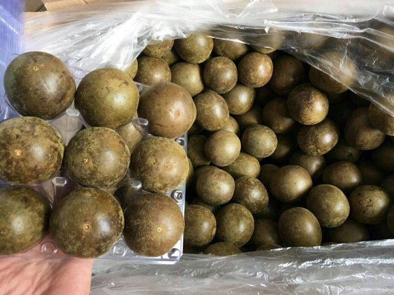 桂林特产永福罗汉果原产地批发零售烤果网套发货