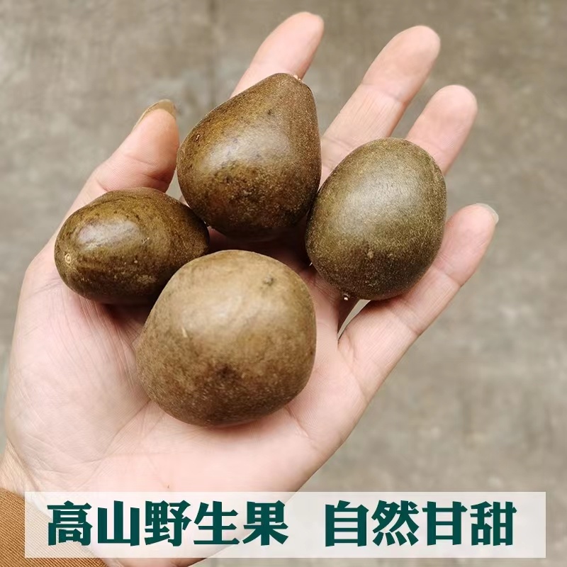 桂林特产永福罗汉果原产地批发零售烤果网套发货