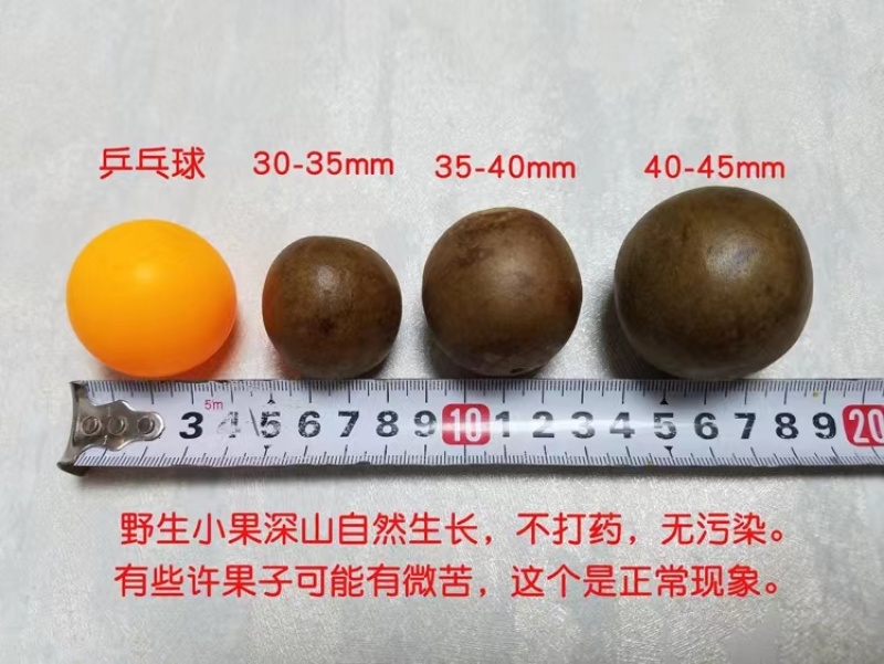 桂林特产永福罗汉果原产地批发零售烤果网套发货