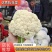白面青梗花菜松花菜质量保障视频看货物美价廉欢迎来电