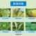 双解40%喹啉铜霜脲氰霜霉病疫病杀菌剂蔬菜黄瓜番茄辣椒