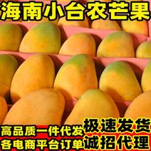 【招代理】海南小台芒芒果9斤装新鲜采摘芒果一件代发