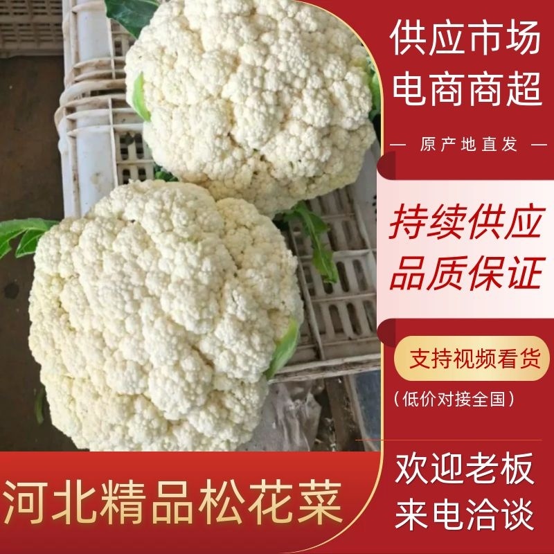 【花菜】松花菜河北有机花产地直发供应市场电商商超