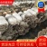 【平菇菌棒】到家划口既出菇高产抗病提供技术质优价廉