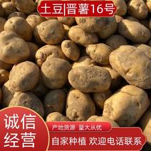 土豆，晋薯16号，山西产地货源，量大从优，对接各地市场