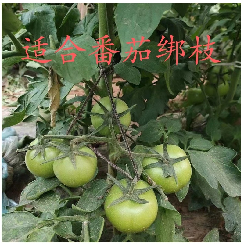 新型猕猴桃葡萄快速绑枝绳圈套，绑枝绑蔓神器