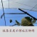 新型猕猴桃葡萄快速绑枝绳圈套，绑枝绑蔓神器