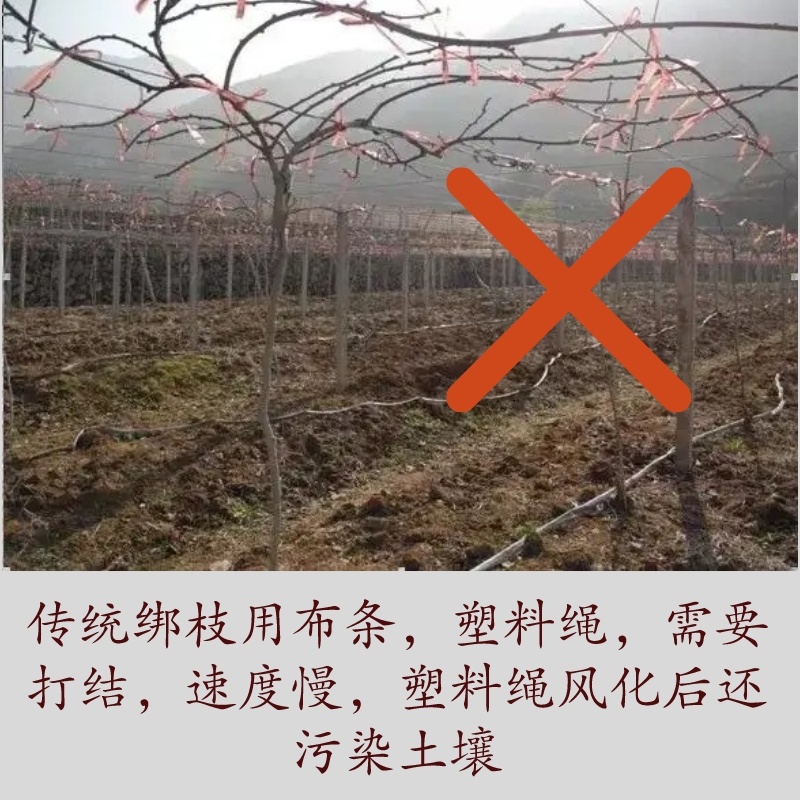 新型猕猴桃葡萄快速绑枝绳圈套，绑枝绑蔓神器
