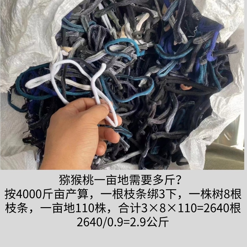 新型猕猴桃葡萄快速绑枝绳圈套，绑枝绑蔓神器