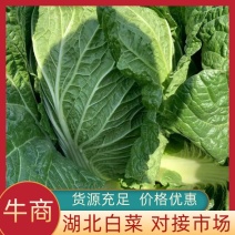 白菜，产地一手货源，量大从优，对接市场超市，电联