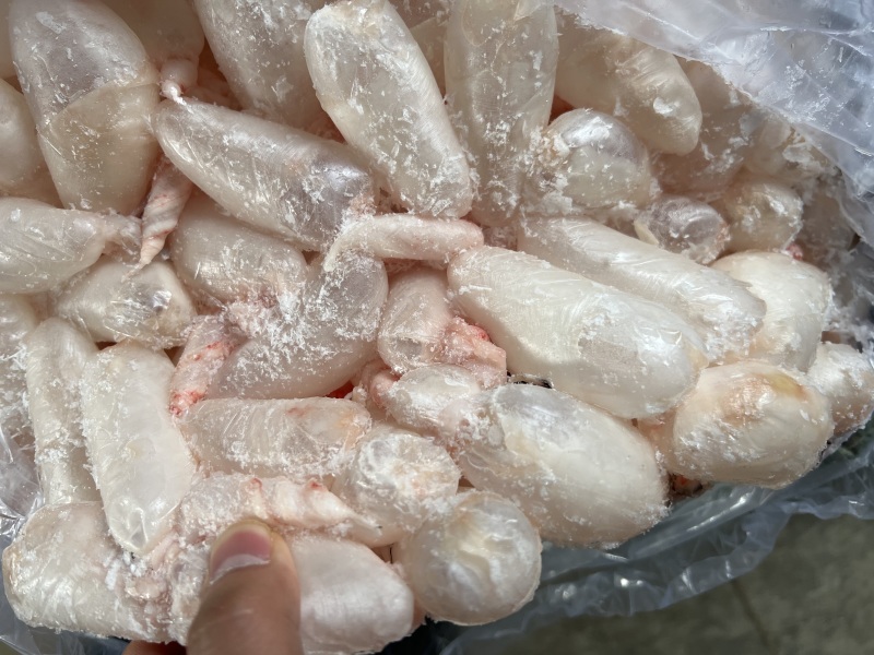 鲜鱼泡/鲜鱼鳔/鱼胶/鲢鱼泡/鲤鱼泡/鱼肚/鱼籽工厂批发