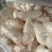 鲜鱼泡/鲜鱼鳔/鱼胶/鲢鱼泡/鲤鱼泡/鱼肚/鱼籽工厂批发