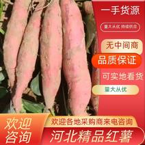 西瓜红红薯大量供应一手货源物美价廉货源充足口感软糯香甜