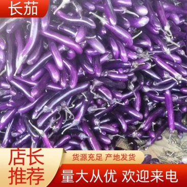长茄子（工厂茄子）（徐闻县特产）量大从优