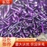 长茄子（工厂茄子）（徐闻县特产）量大从优