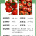 巴菲特早熟红果西红柿种籽大红番茄种子节位短番茄子种孑露天