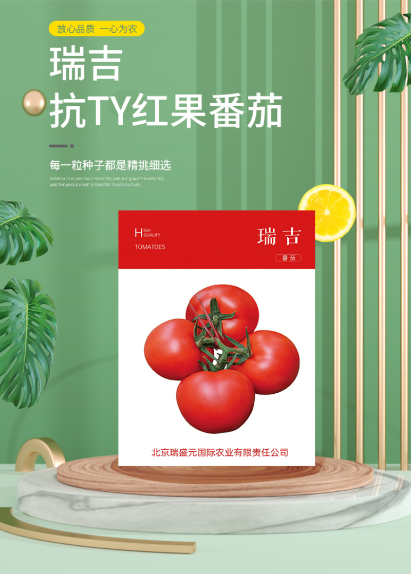 瑞吉红果番茄种籽西红柿种子种孑抗病毒耐寒大果高产口感好硬