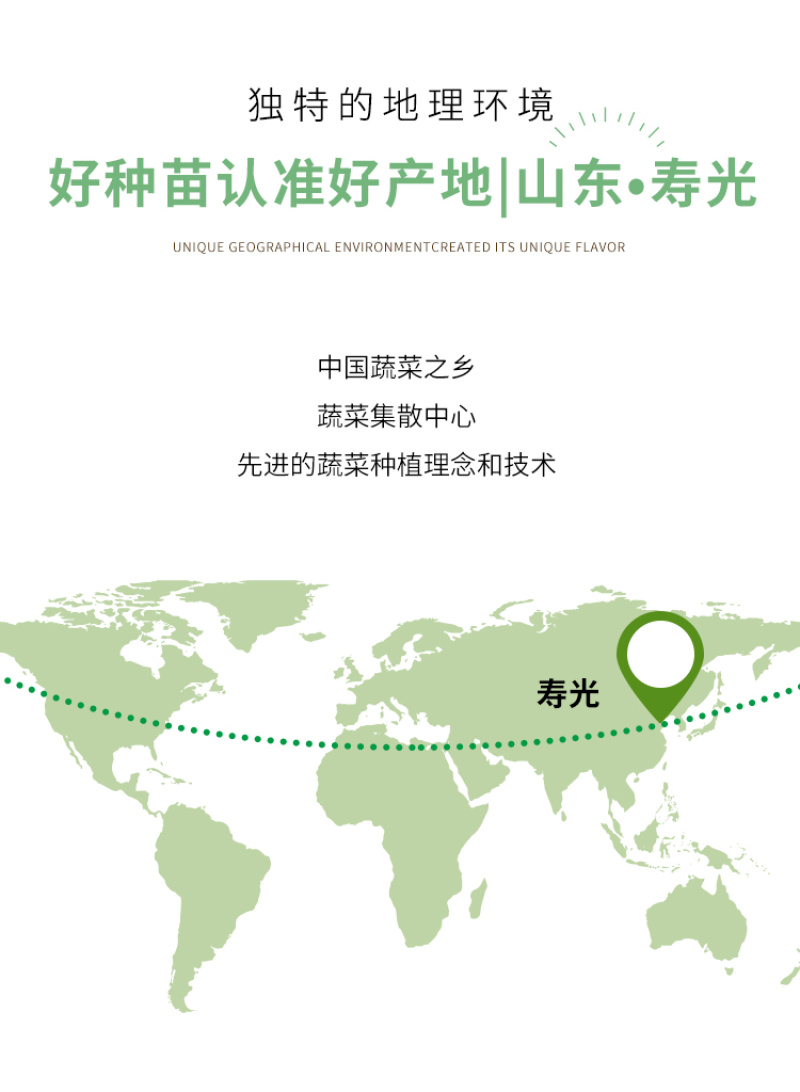 瑞吉红果番茄种籽西红柿种子种孑抗病毒耐寒大果高产口感好硬