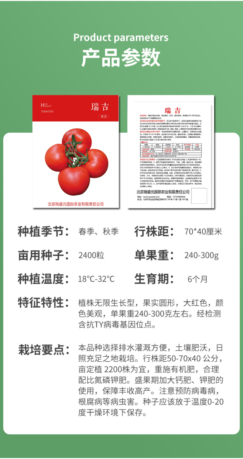 瑞吉红果番茄种籽西红柿种子种孑抗病毒耐寒大果高产口感好硬