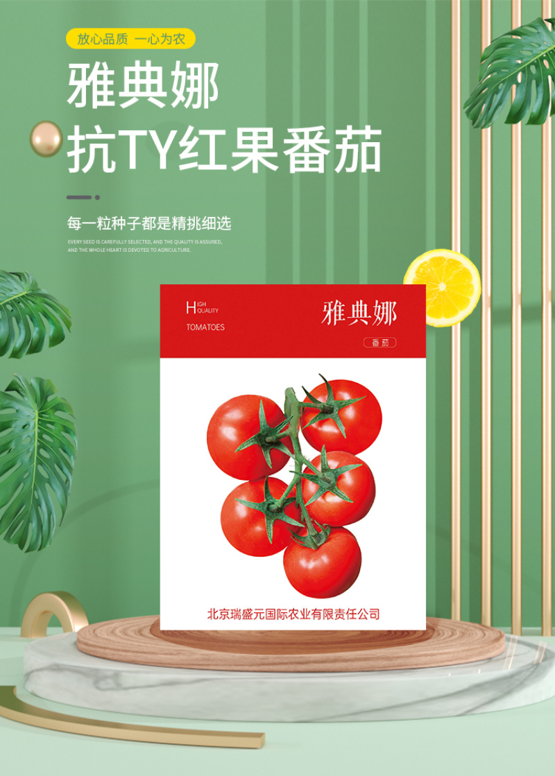 雅典娜大红果番茄种子抗病毒南北地区大棚越冬春秋种植蔬菜种