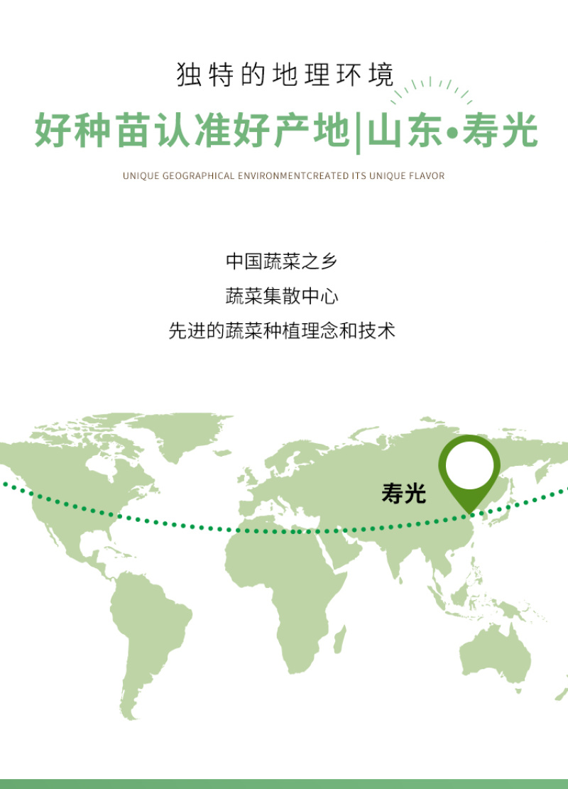 金玛莎黄瓜种子水果黄瓜种籽春季夏秋四季高产阳台盆栽蔬菜种
