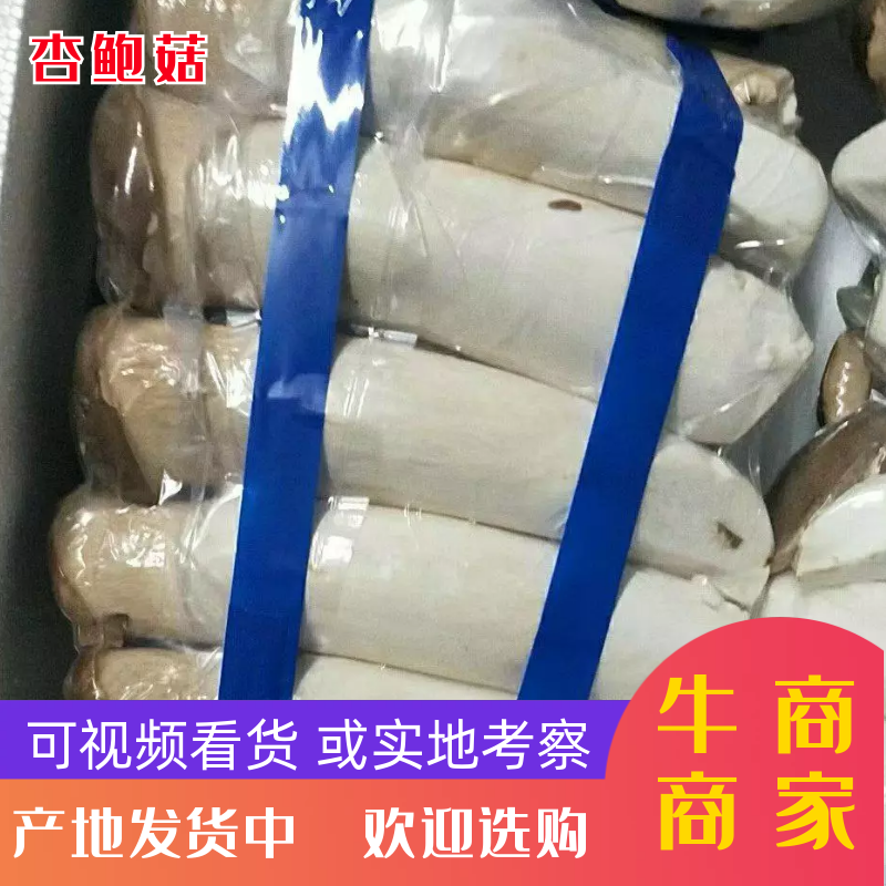杏鲍菇/杏鲍菇片，基地现货直发量大价优品质好诚信发货