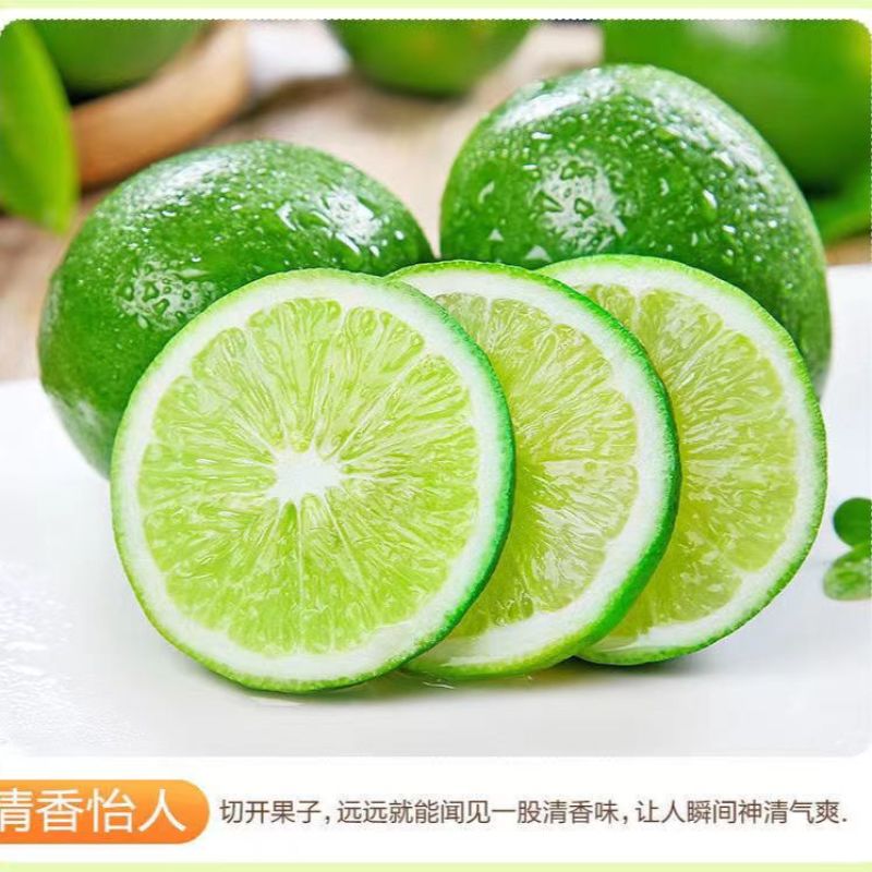 塔希提无籽青柠檬