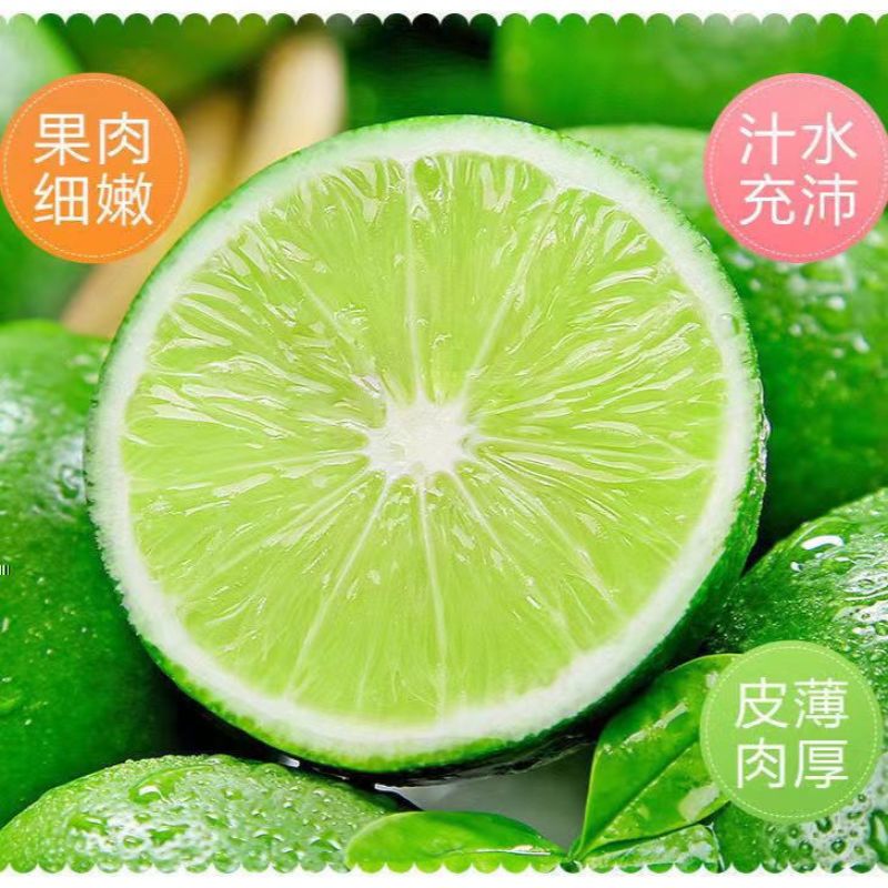 塔希提无籽青柠檬