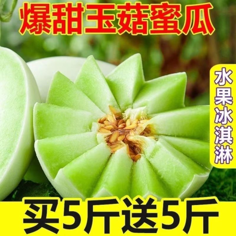 海南乐东专业供应链代办玉菇甜瓜