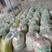 【热卖中】发酵豆渣520货源充足全国发货质量保证