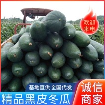 江西大棚冬瓜，地冬瓜，黑皮冬瓜，子弹头冬瓜，交通方便
