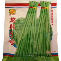 龙泉5号豆角高产豇豆种子绿条特长豆角春播架豆蔬菜四季豆种