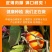 【一件代发】四川爱媛38号果冻橙抖音快手京东天猫一件代发