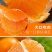 【一件代发】四川爱媛38号果冻橙抖音快手京东天猫一件代发