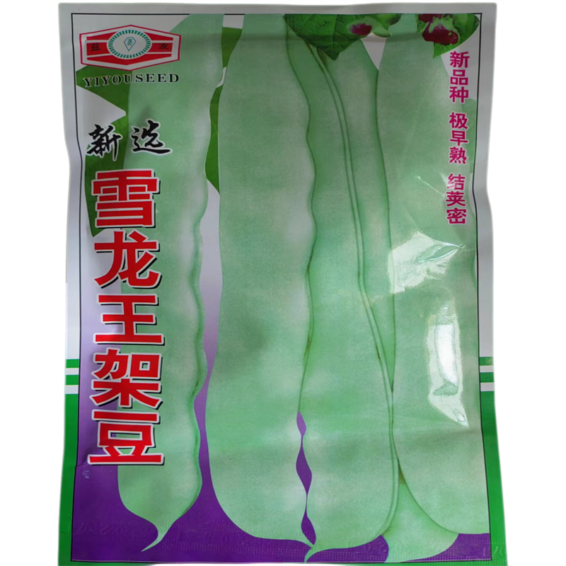 雪龙王架豆种子高产扁芸豆种子春秋季架豆宽扁绿芸豆嫩荚绿白