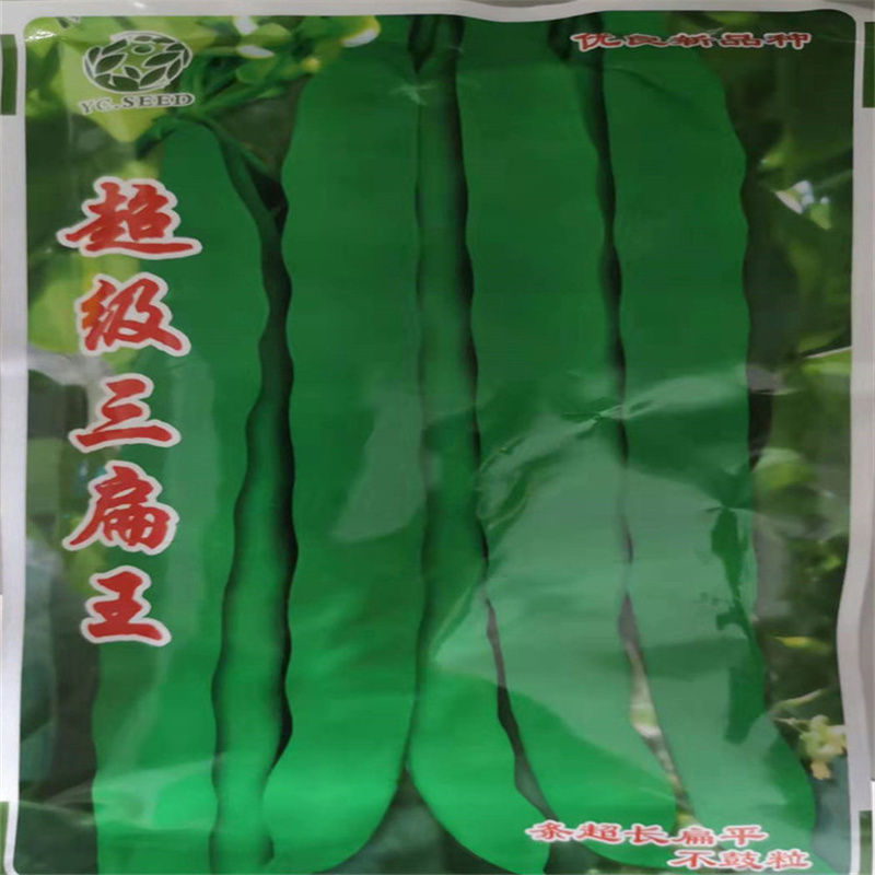 三扁王芸豆种子扁青芸豆种子油豆角种子爬藤架豆绿窄条扁